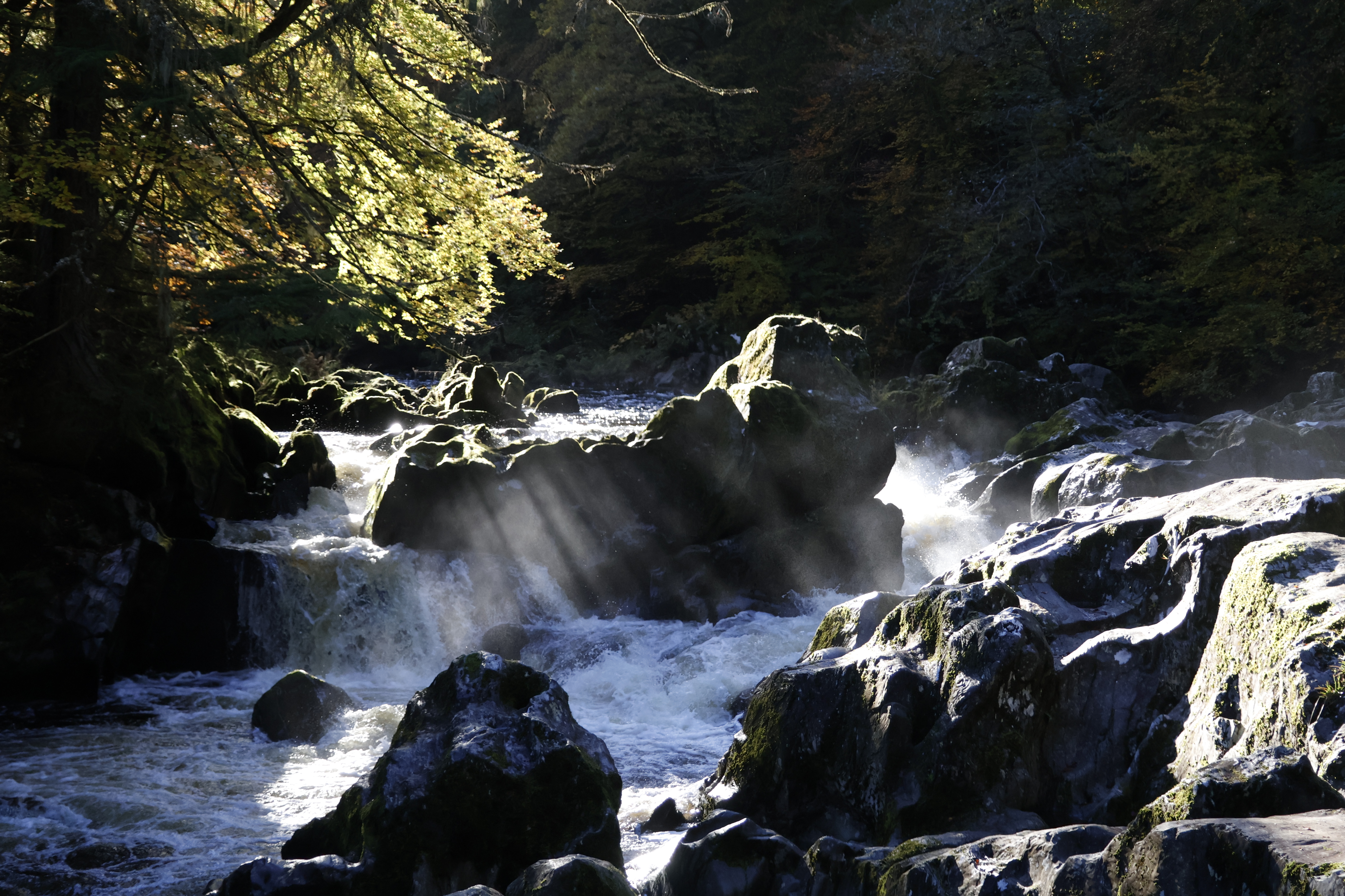 Sunlight through spray over rapids on the River Braan