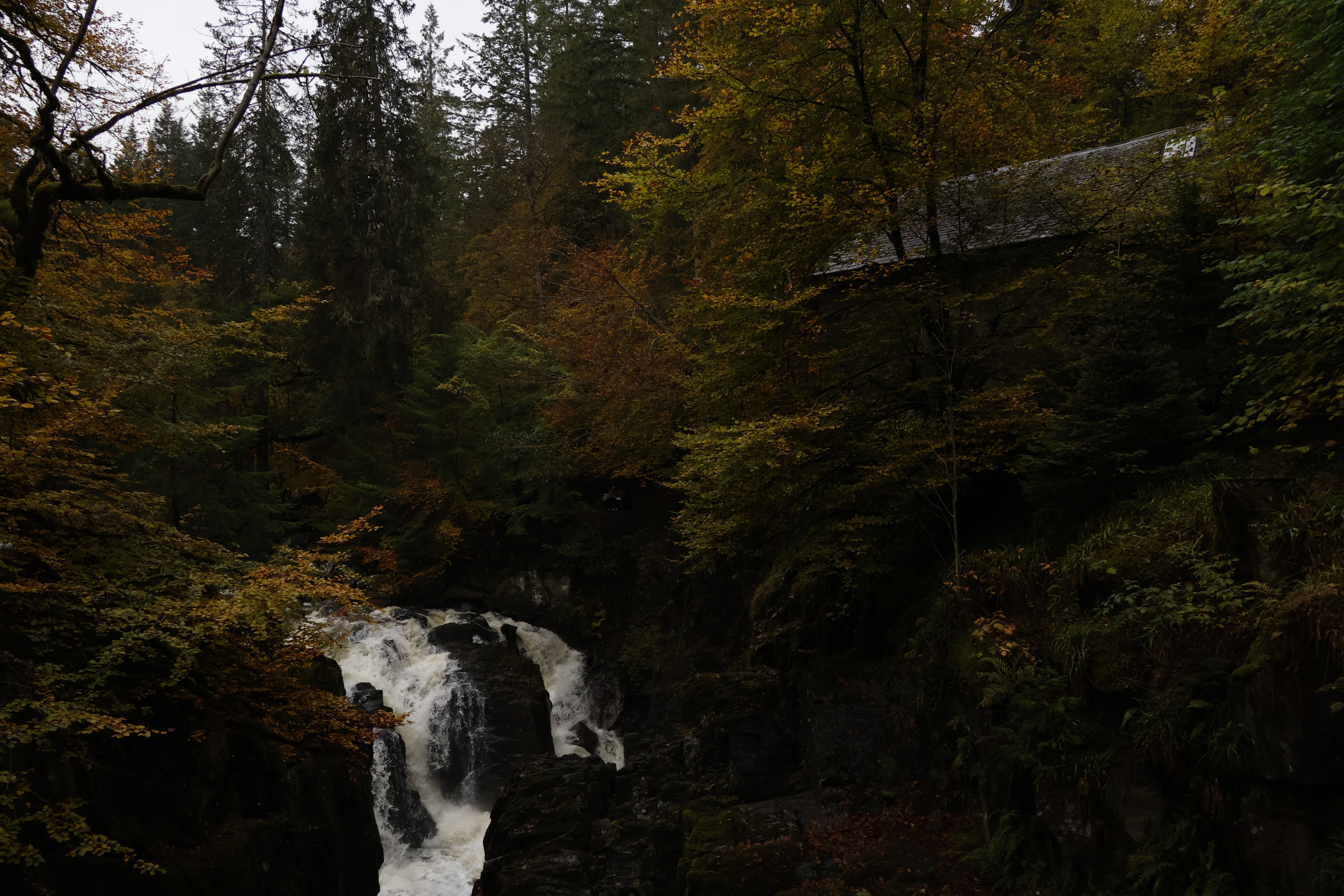 Black Linn Falls below Ossian's Hall in autumn woods
