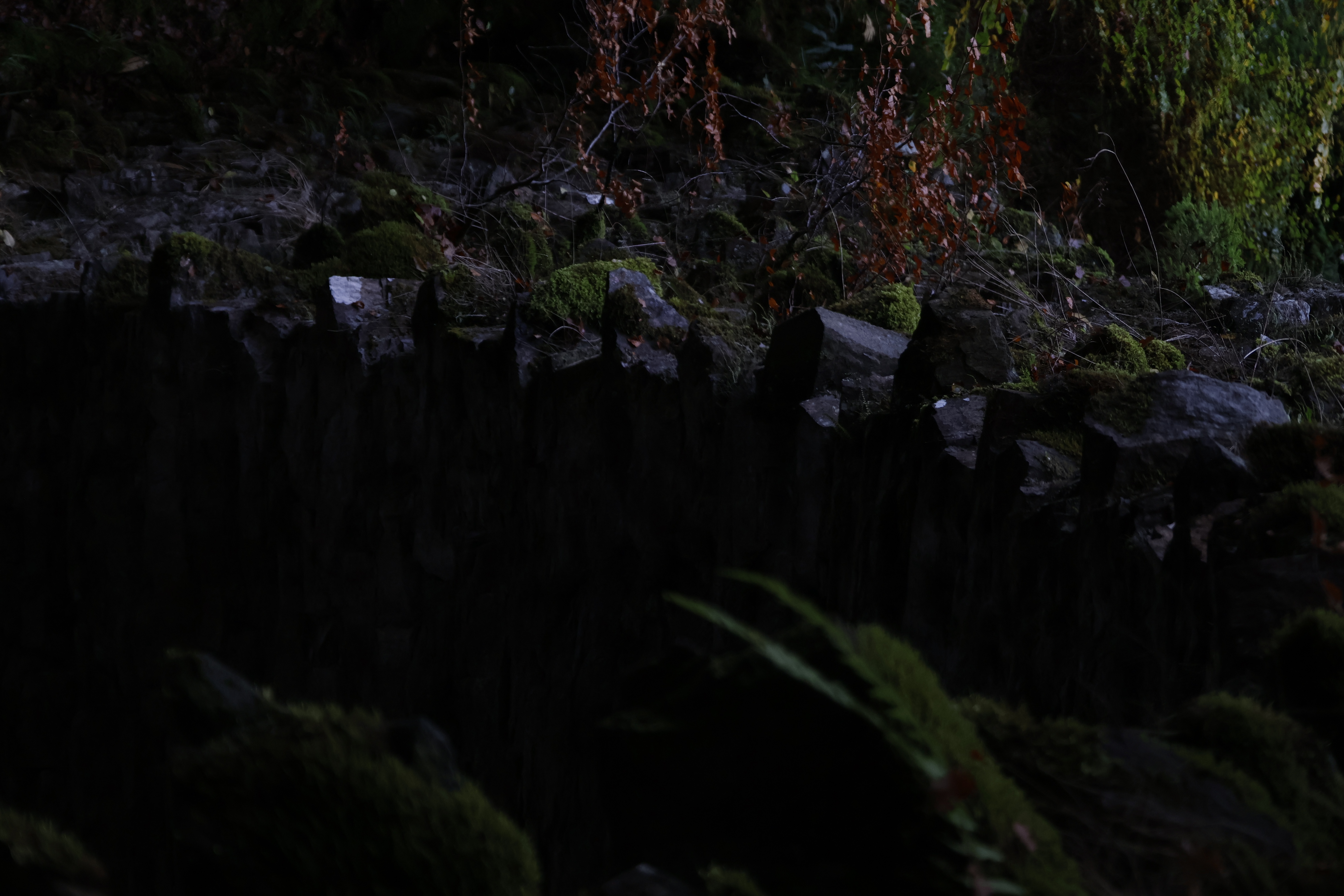 Mossy stone wall beside the gorge